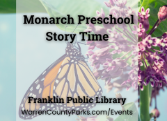 monarch butterfly on milkweed flower